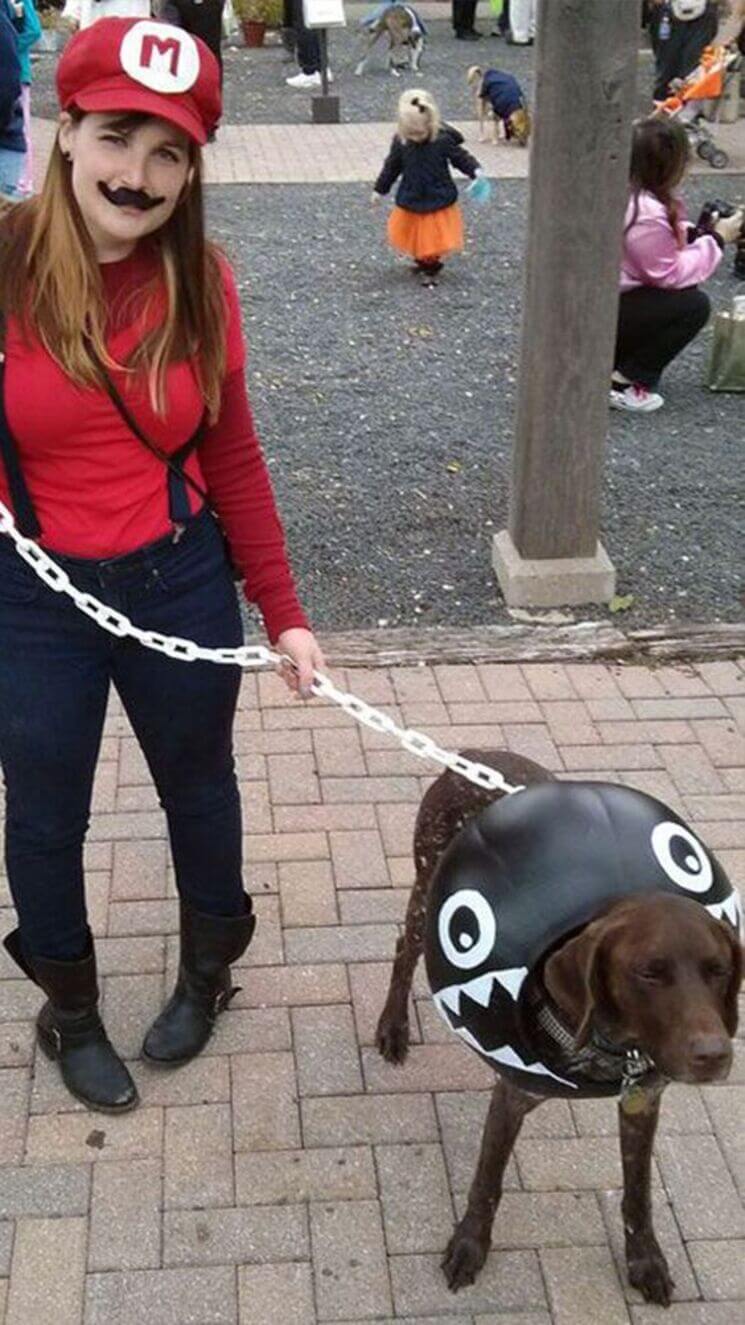 Dog and Owner Halloween Costumes