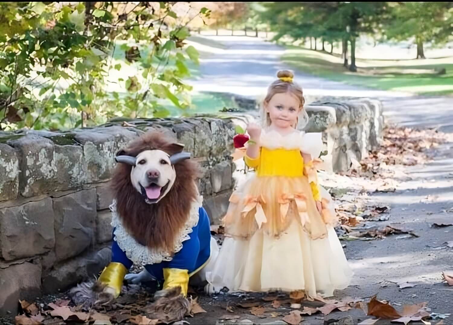 Dog and Owner Halloween Costumes