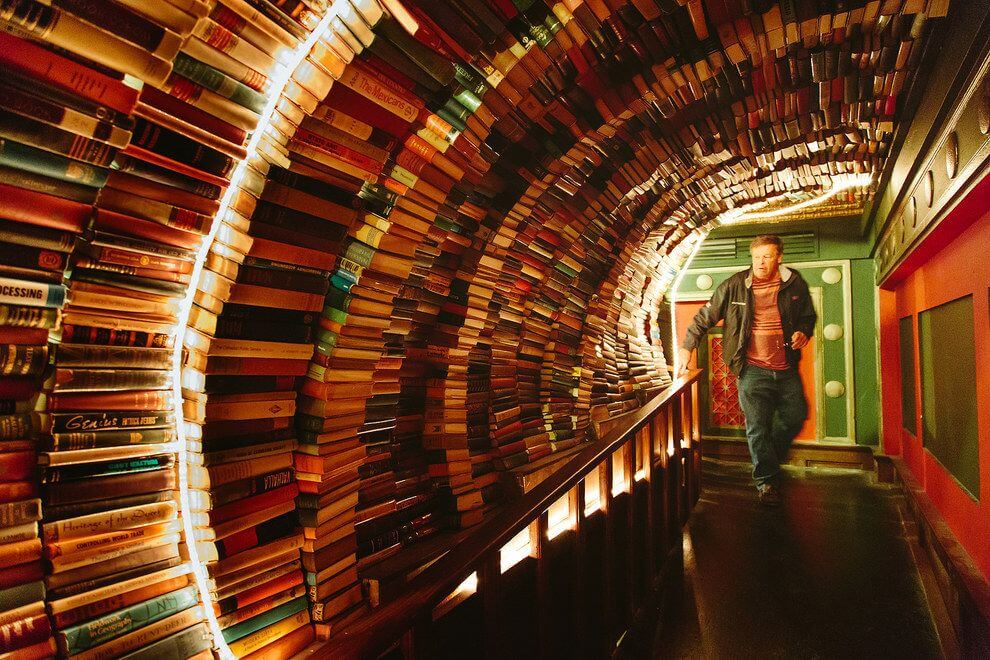 Book Lover's Paradise - A World of Endless Imagination