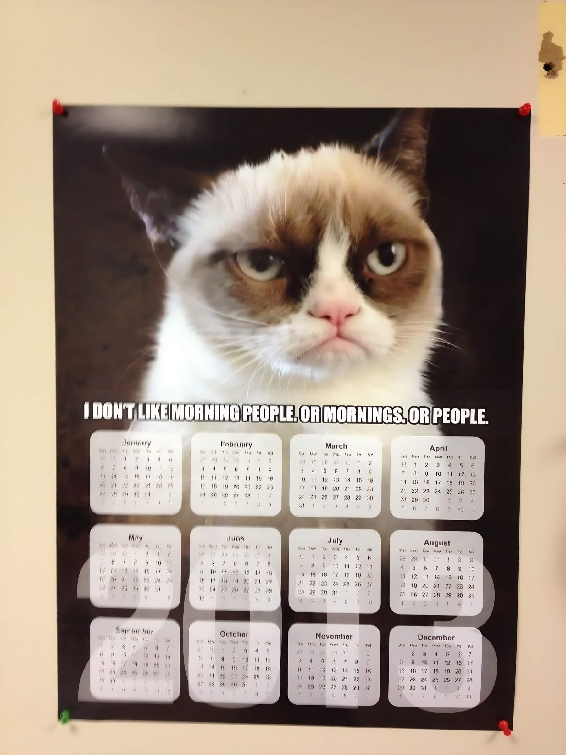 Grumpy Cat Christmas Calendar
