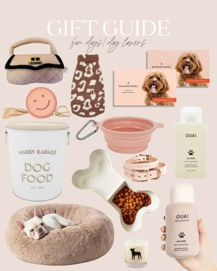 Pet Lovers' Picks - Gifts for Beloved Pets and Their Owners
